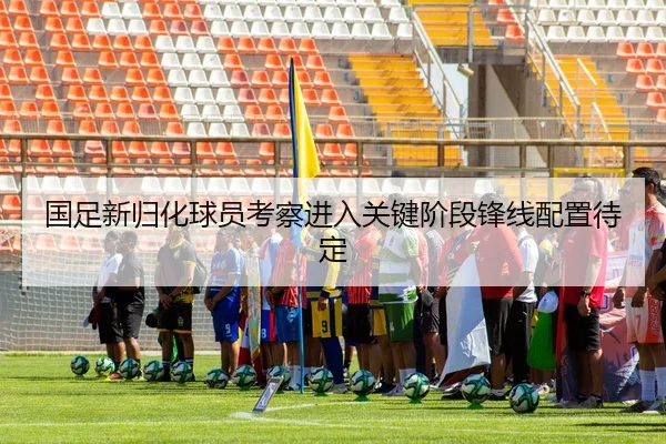 国足新归化球员考察进入关键阶段锋线配置待定